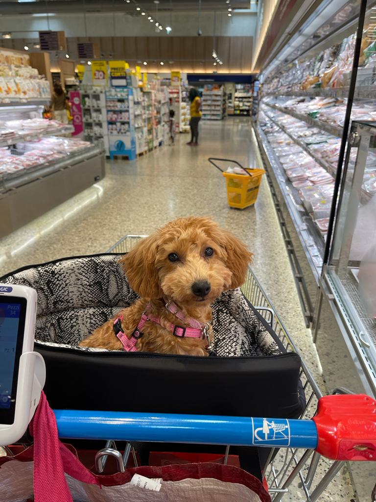 Brigitte al supermercato