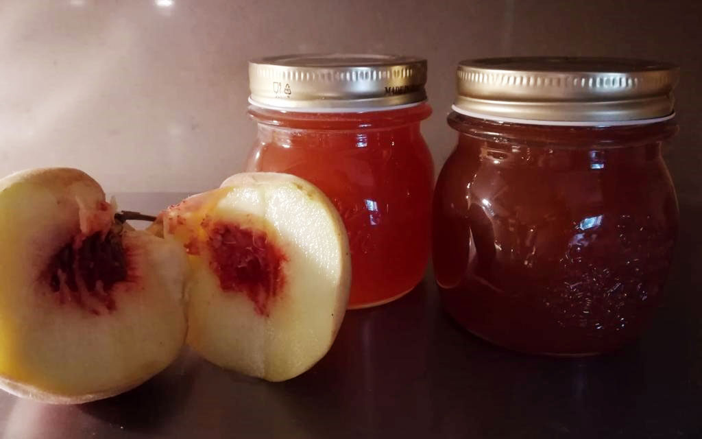 Marmellata di pesche bianche della Monica