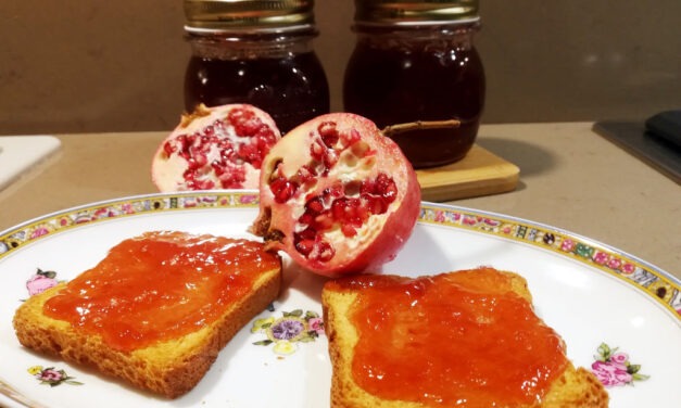 MARMELLATA DI MELOGRANE DELLA MONICA