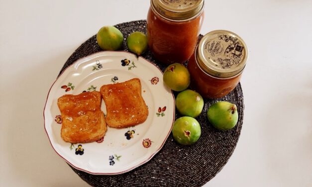 MARMELLATA DI FICHI CON MANDORLE PELATE DELLA MONICA