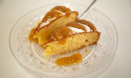 TORTA FIOCCO DI NEVE DELLA MONICA