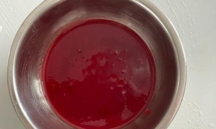 COULIS DI LAMPONI FRESCHI DELLA MONICA