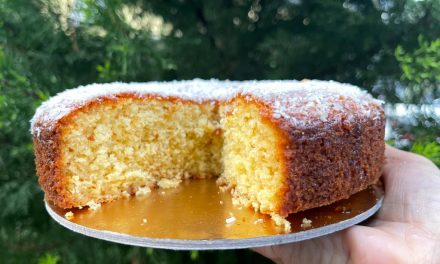 TORTA SOFFICE AL COCCO DELLA MONICA