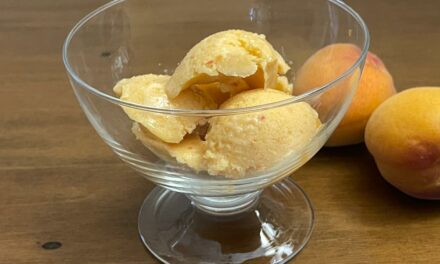 GELATO DI ALBICOCCHE FRESCHE E LATTE DI SOIA