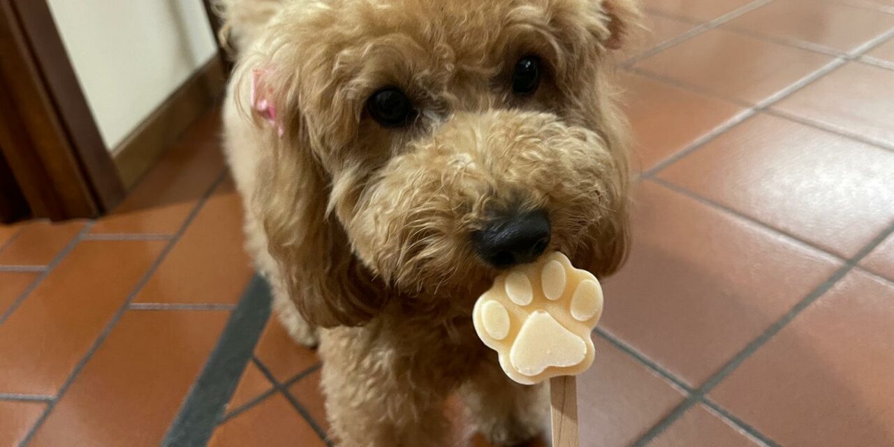 GELATO PER CANI CON MELONE E YOGURT